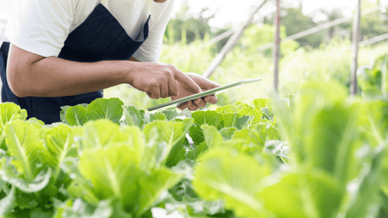  From Soil to Software: How Agritech Is Cultivating New Careers